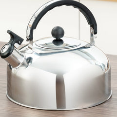 Stainless Steel Kettle