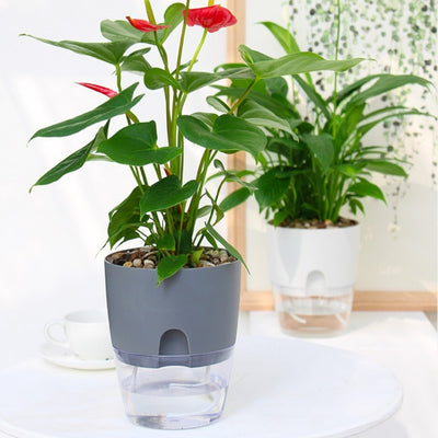 Self-watering Lazy Flower Pot Home-use Resin Flower Pot
